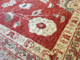 Red and Beige Traditional Pakistani Wool Rug