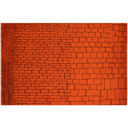 Orange Brick Overdyed Rug