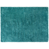 Turquoise Shag Rug