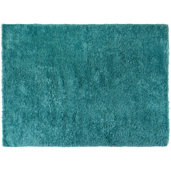 Turquoise Shag Rug