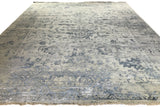 Blue Transitional Indian Area Rug